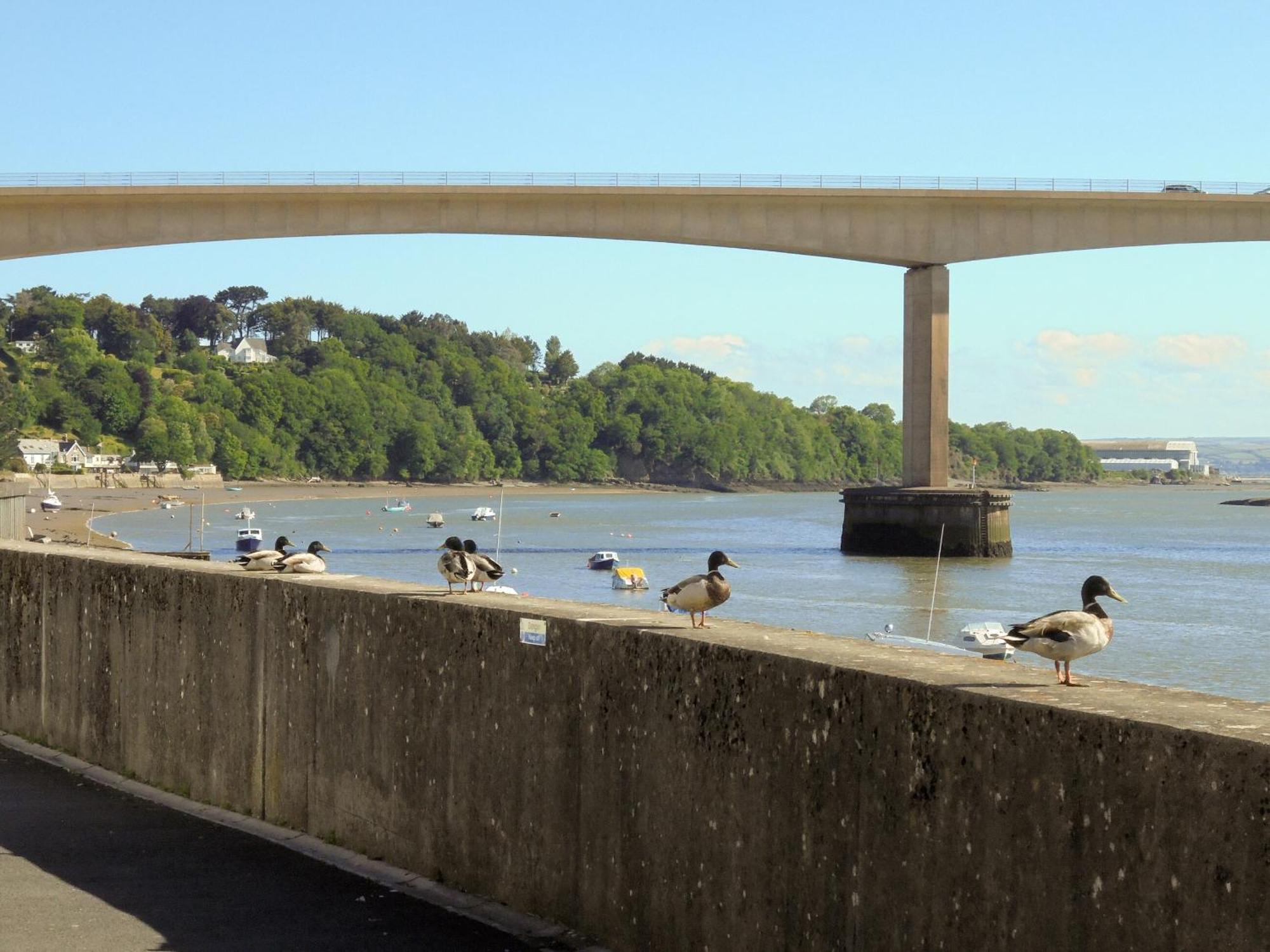 Riverside Mews Bideford Eksteriør bilde